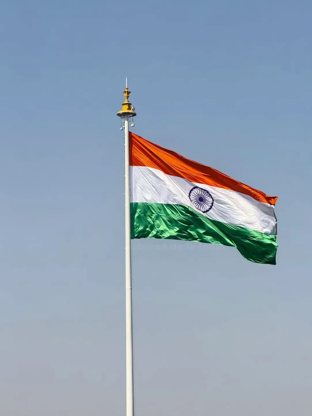 Sabores de la India 10